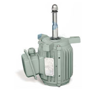 YCL3冷卻塔專用三相異步電(diàn)機